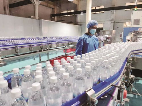 返鄉(xiāng)創(chuàng)業(yè)帶就業(yè) 帶動(dòng)鄉(xiāng)鄰興產(chǎn)業(yè)