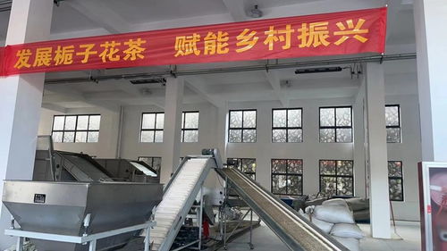 當(dāng)長(zhǎng)三角遇上海西區(qū),會(huì)產(chǎn)生哪些化學(xué)反應(yīng)